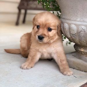 Meet your Posher, Scott